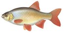 Проховское Подворье - иконка «рыбалка» в Удомле